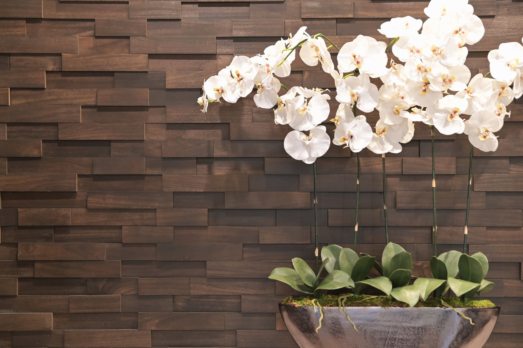 How to Install Woodwöl Mosaic Wood Wall Tiles