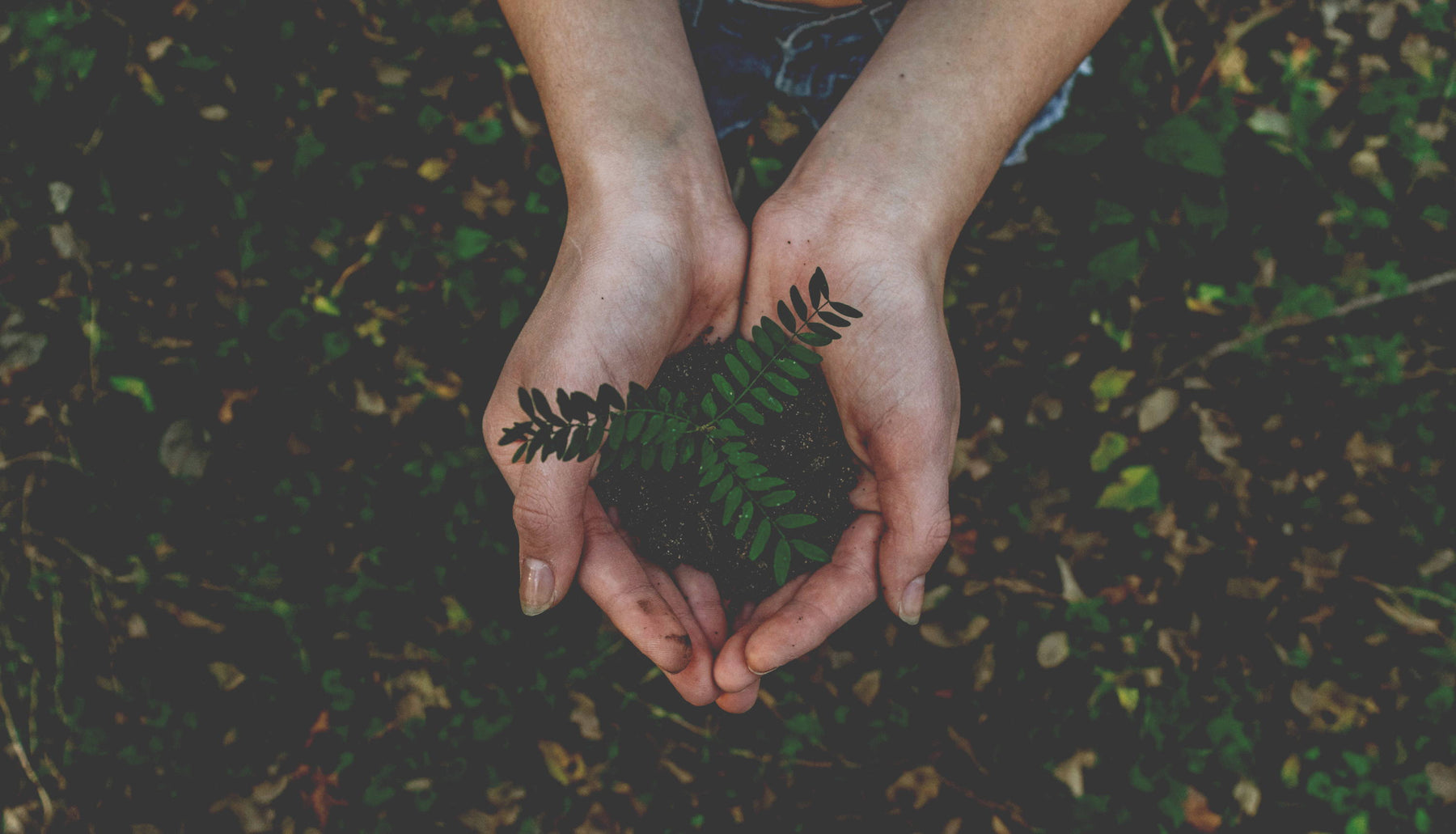 Stikwood Celebrates Earth Day