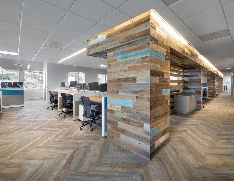 Office workstations beneath a structure clad in varied wood planks