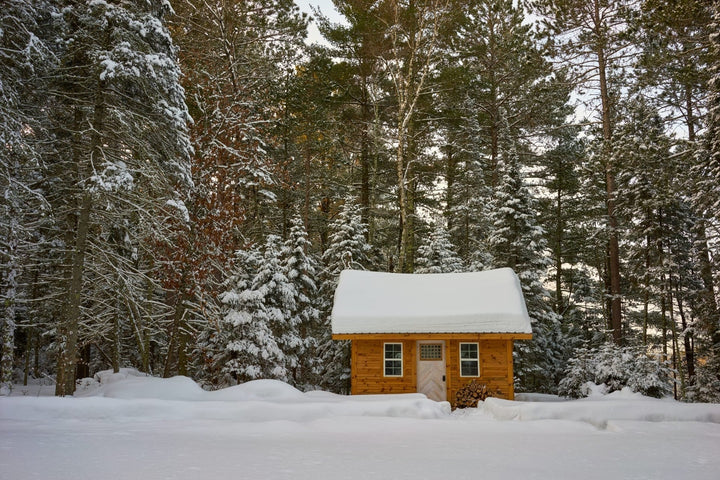 Douglas Fir vs. Fraser Fir: Choosing the Best Wood Plank