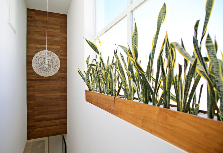 Create a Cool Indoor Oasis with Rustic Wood Planks