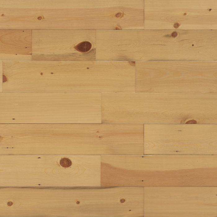 Golden Oak Sample