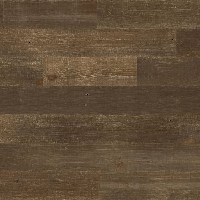 Hazelnut Sample