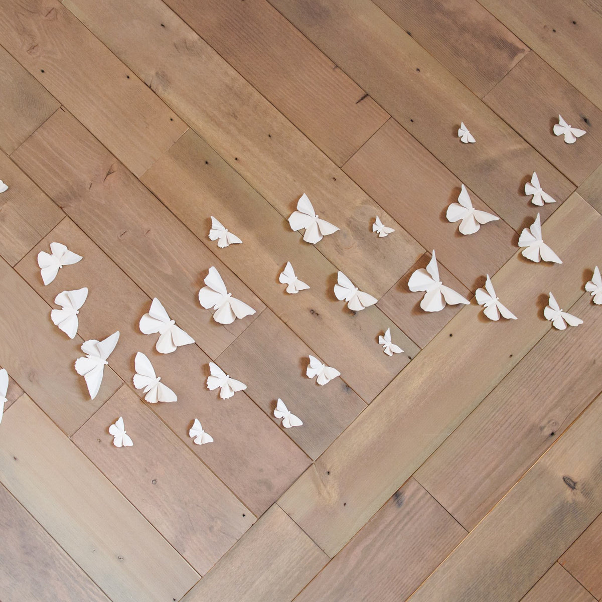 Project Spotlight: A Thoughtfully Designed Space for Healing and Comfort