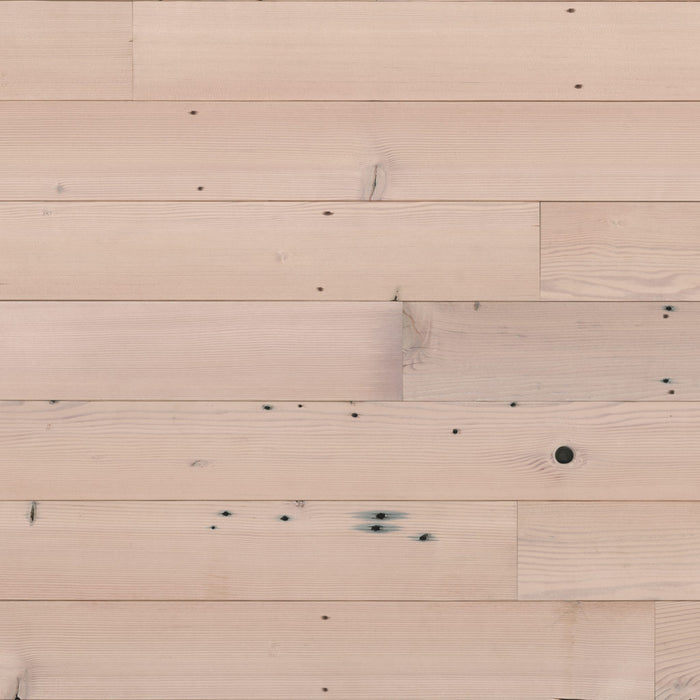 Minimalist Fir Sample